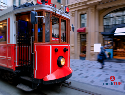 Der perfekte behandlungsfreie Tag in Istanbul